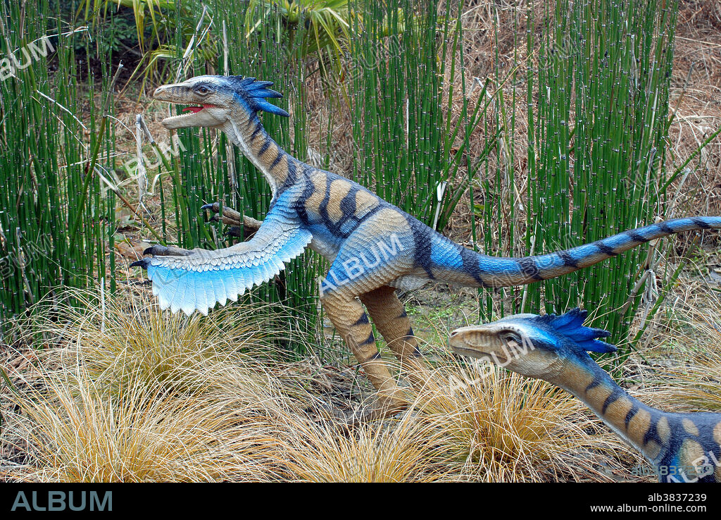Troodons