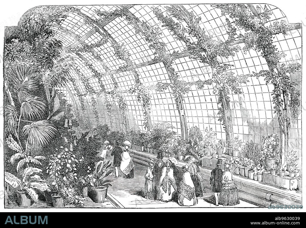 The Great Conservatory in the Gardens of the Horticultural Society, at Chiswick,  [London], 1850. There were 5000 to 6000 visitors to the conservatory, '...its entire dimensions are 184 feet long, 25 feet high, and about 30 feet wide...Among the noble and distinguished persons early in the grounds were '...the Nepaulese ambassador, and the other members of the mission [who] excited very great interest. They were dressed in their national costume. The Ambassador, in addition to the other costly articles of his apparel, wore a pair of rich light satin trowsers. The three individuals constituting the mission appeared exceedingly delighted with the appearance of the grounds, and the vast assemblage of beauty and fashion by which the gardens were graced...The Victoria Lily was again the great floral attraction'. From "Illustrated London News", 1850.