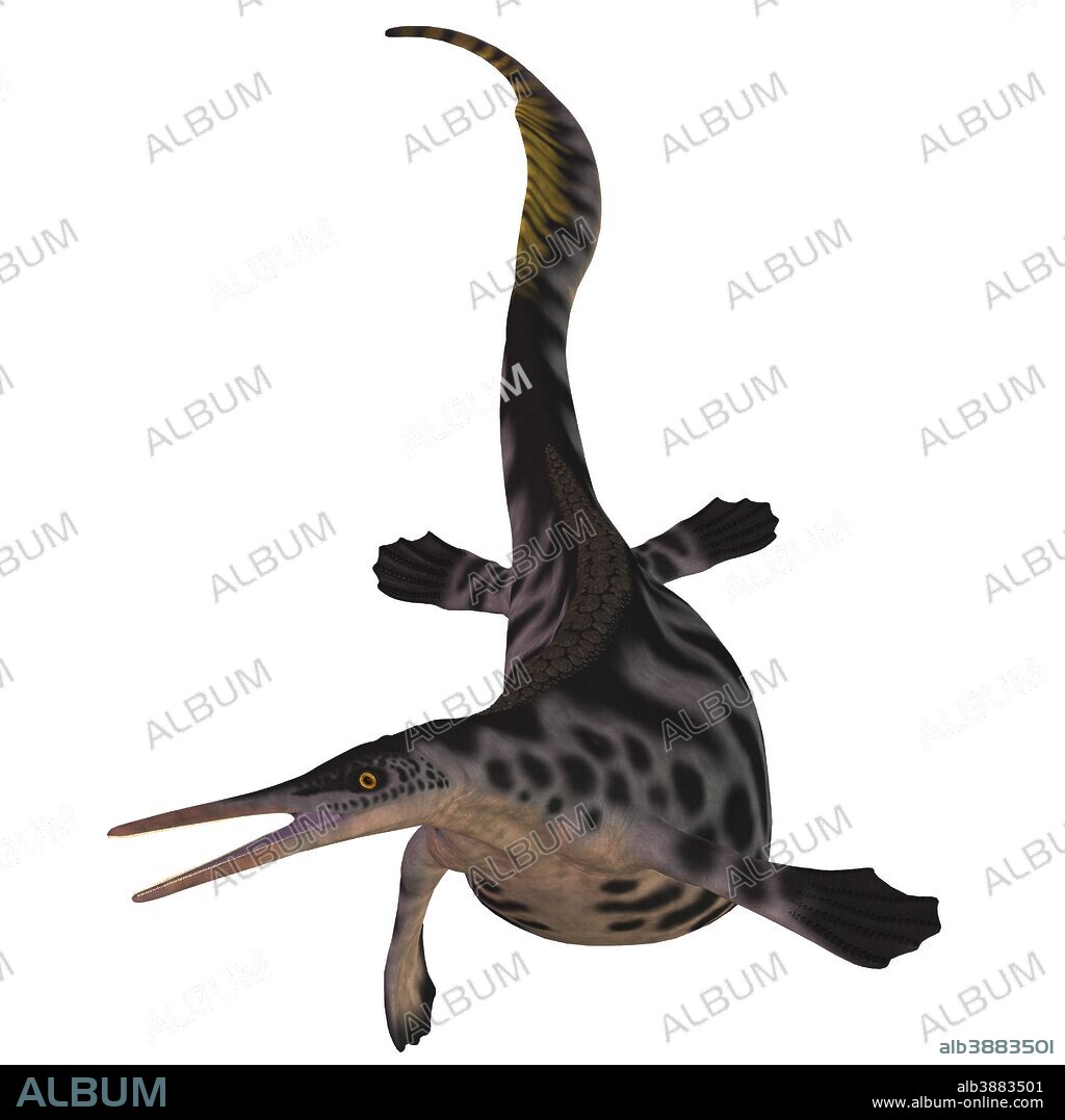Hupehsuchus is a small genus of marine reptile found in China during the Triassic Period. It may be related to the ichthyosaur reptiles.