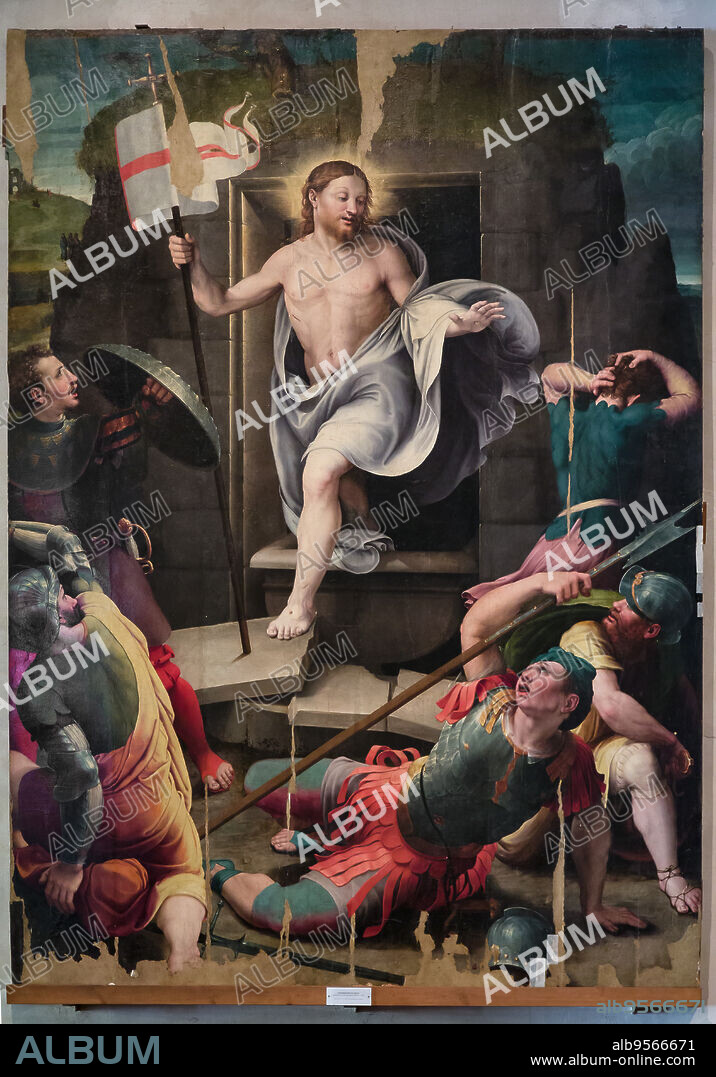Resurrection of Christ, di Raffaellino del Colle, oil painting on panel (1522).