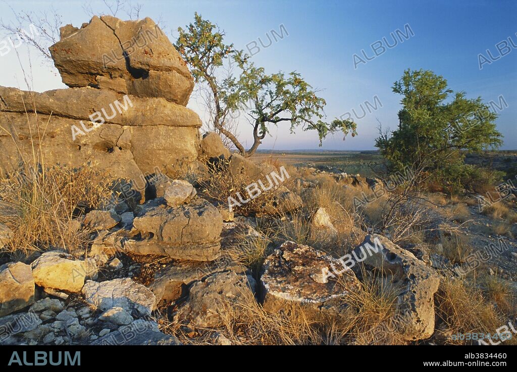Fossil-bearing limestone rocks of the Riversleigh World Heritage fossil site, one of the world's most important mammalian fossil deposits, at the headwaters of the Nicholson River in northwest Queensland, Australia.  The ruuged limestone outcrops, uplifted from former rainforest lake beds, have weathered to reveal skeletons of prehistoric marsupials, bats, turtles and many other animals from 25 million years ago.  It is one of the few sites that records almost an entire ancient fauna.