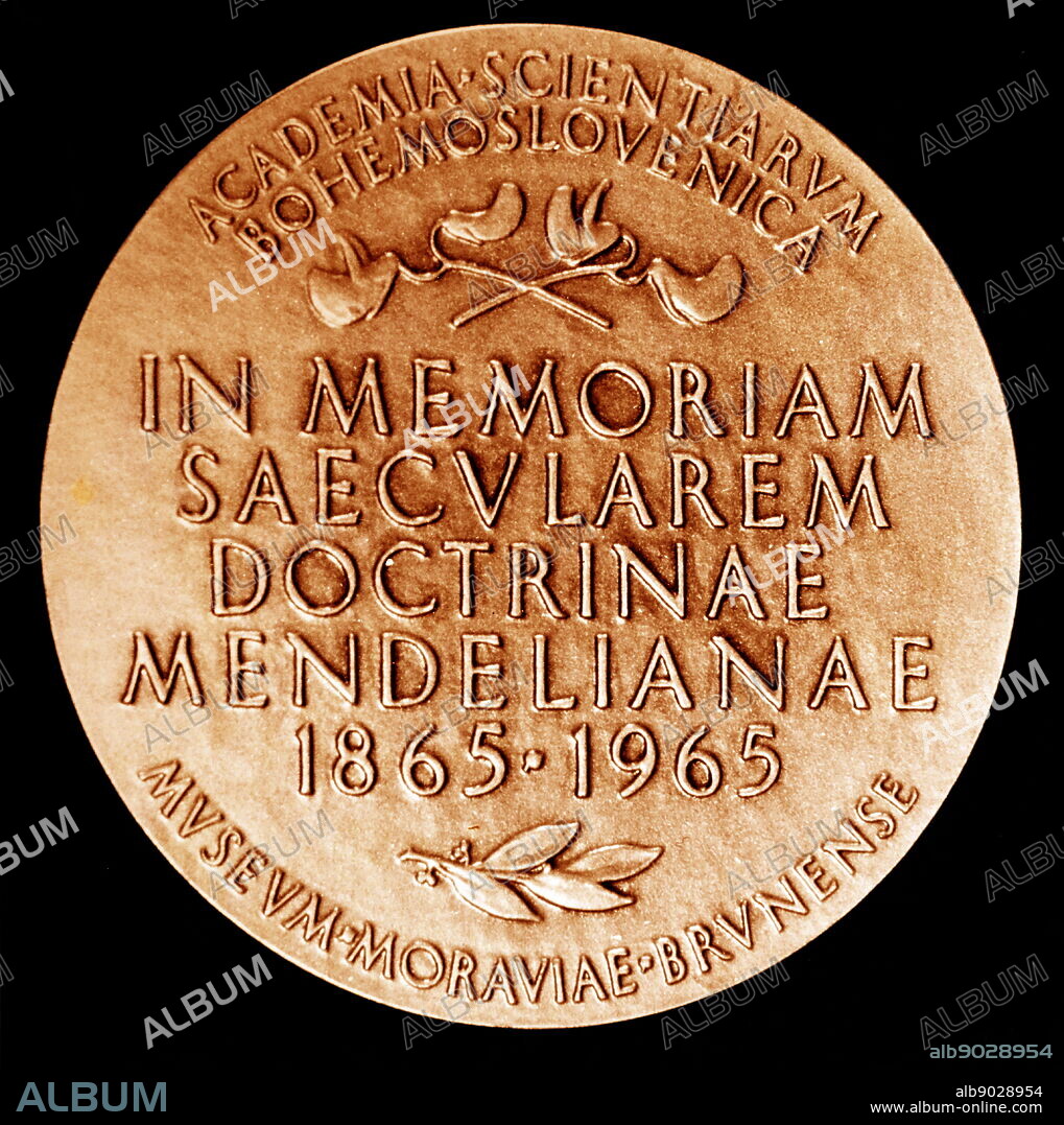 GREGOR JOHANN MENDEL (1822-1884) botanist; Reverse of a medal issued in 1965, to commemorate the centenary of the publication of the hybridization of peas.