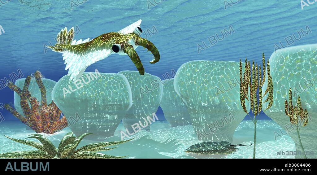 Anomalocaris, an invertebrate predator of Cambrian seas, sneaks up on a Trilobite, his favorite prey among Stromatolites.