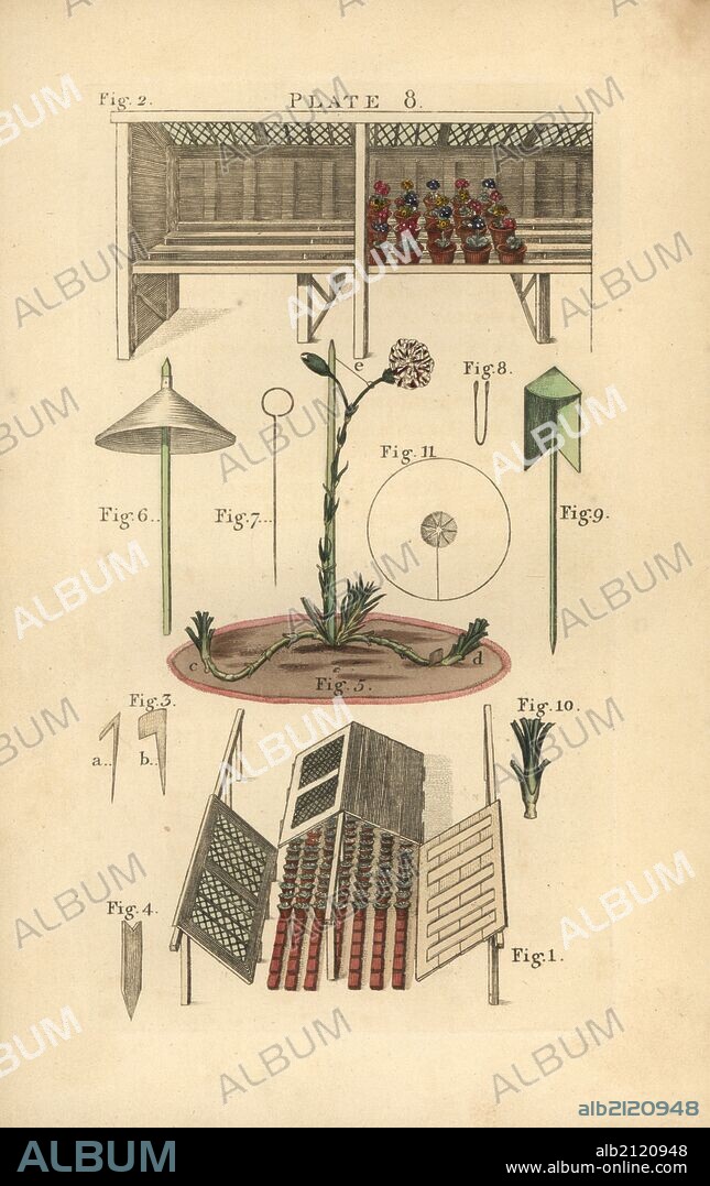 Winter frame 1, stage for auriculas 2, fern peg 3, notched stake 4, carnation pot 5, paper cap 6, brass wire 7, wire nippers 8, shade 9, carnation piping 10, and card protector for a Pink blossom 11. Handcoloured copperplate engraving from James Maddock's "The Florist's Directory," London, John Harding, 1810. New edition improved by Samuel Curtis, whose sister married James Maddock junior.