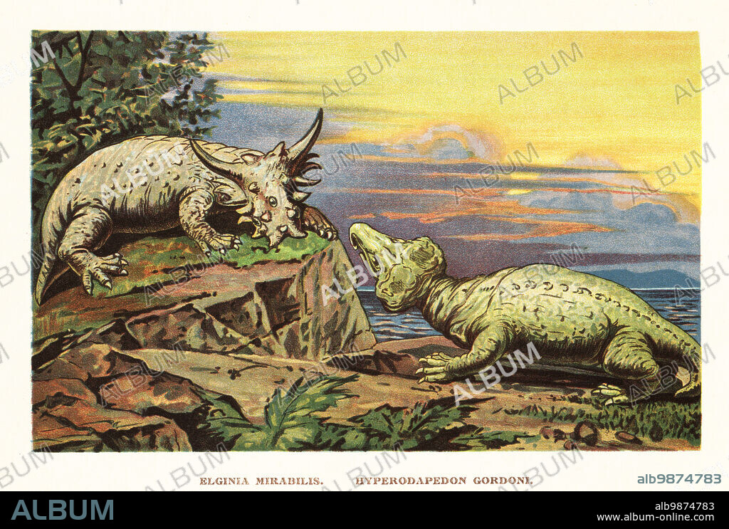 Elginia mirabilis, herbivore pareiasaur of the Late Permian. Hyperodapedon gordoni, rhynchosaur (beaked, archosaur-like reptile) of the Late Triassic (Carnian). Colour printed illustration by F. John from Wilhelm Bolsches Tiere der Urwelt (Animals of the Prehistoric World), Reichardt Cocoa company, Hamburg, 1908.