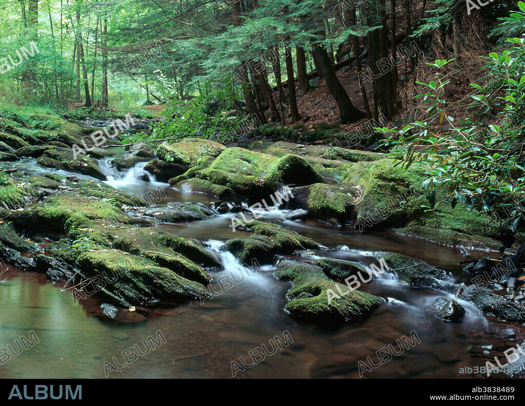 Van Campens Glen, Delaware Water Gap National Recreation Area, New Jersey.