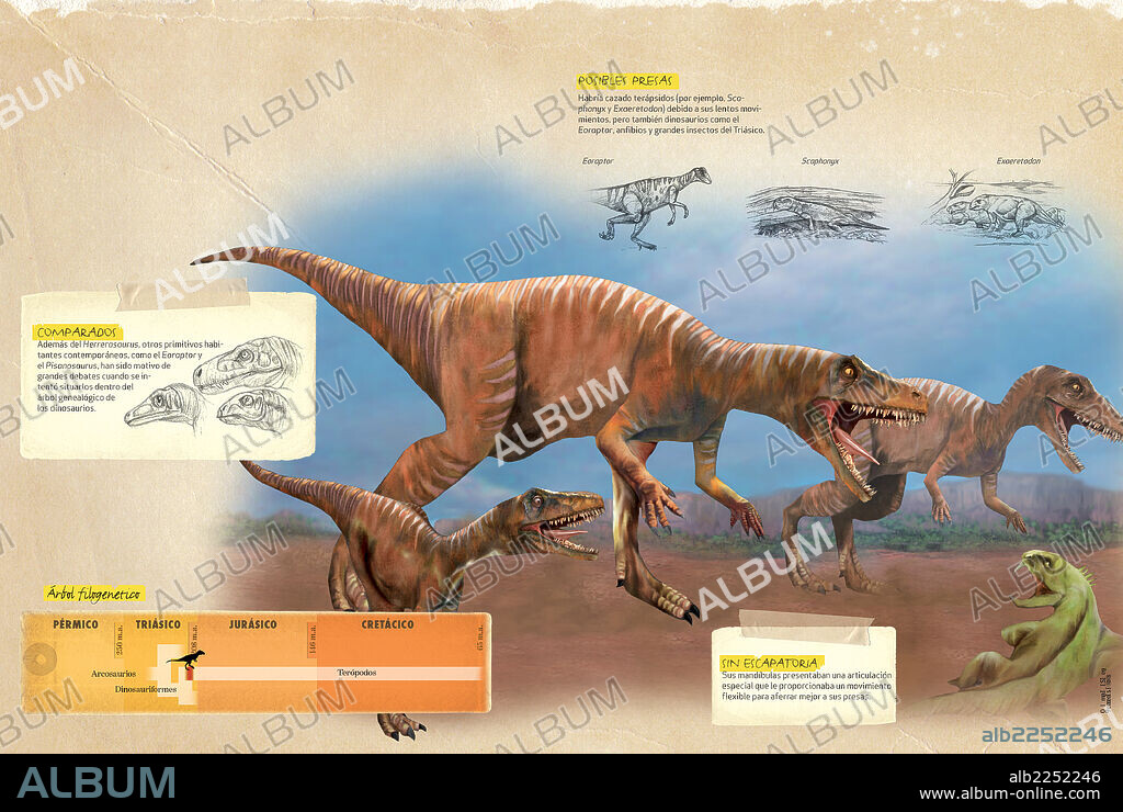 How the Herrerasaurus hunted. Infographics about the hunting techniques and physical adaptations of the Herrerasaurus, a dinosaur from the Triassic period.