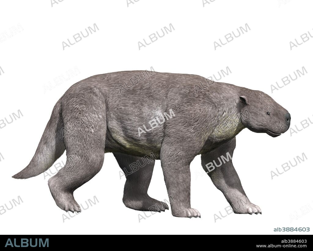 Barylambda faberi is a pantodont mammal from the Paleocene epoch of Colorado.