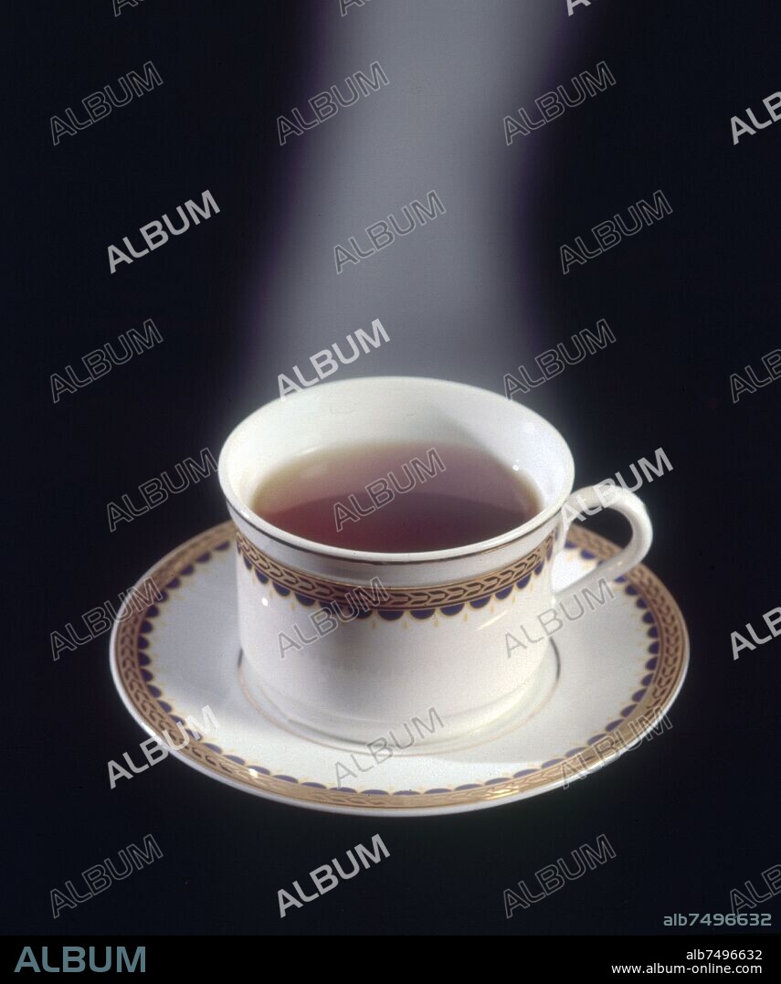 TAZA DE TE HUMEANTE.