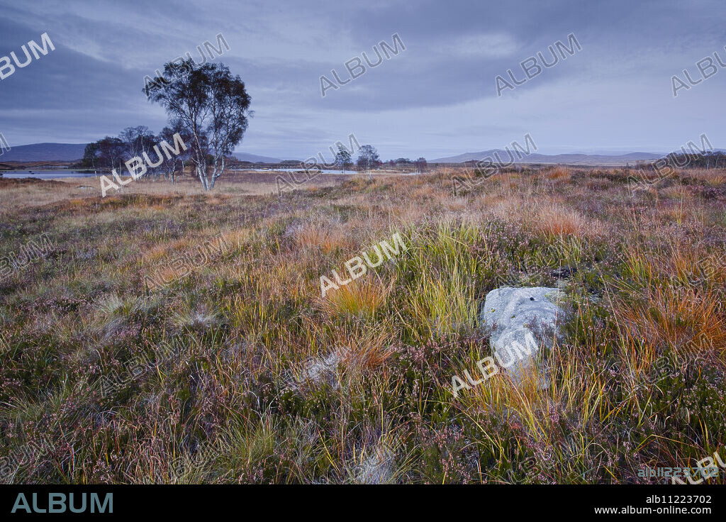 The area of Rannoch Moor, a Site of Special Scientific Interest, Highlands, Scotland, United Kingdom, Europe.