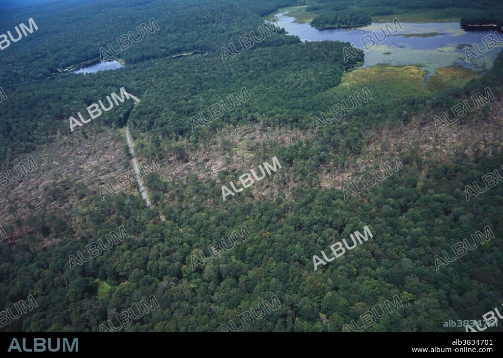 Aerial view of tornado damage in forest. Pike County, PA.