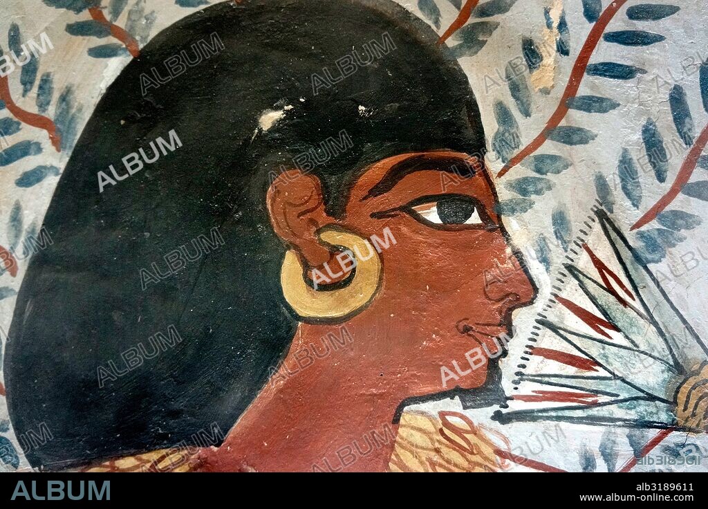 Egipto. Tumba 96 Sennefer o Sennofer. Está situada en Sheikh Abd el-Qurna bajo la denominación TT 96,en la necrópolis tebana, en la orilla oeste del Nilo, frente a Luxor.