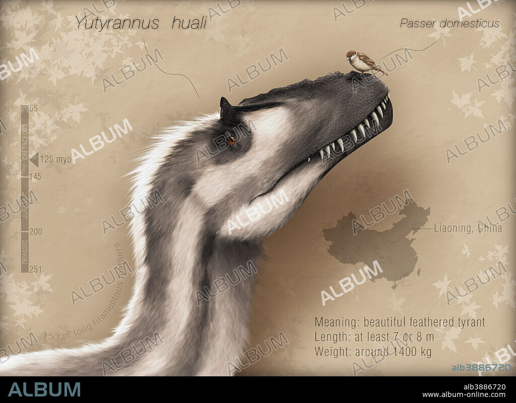 Yutyrannus huali is a feathered tyrannosauroid from the Early Cretacous of China.