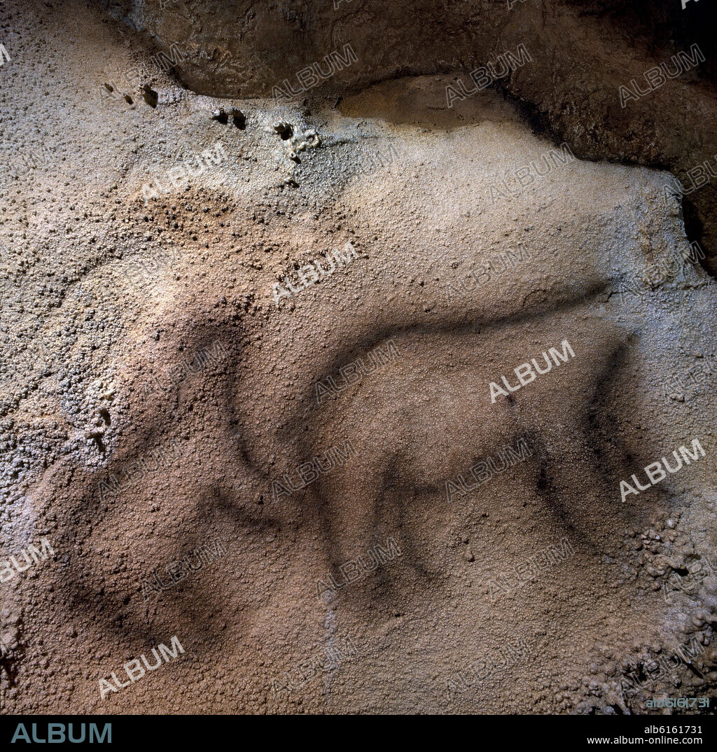 INTERIOR- PINTURAS RUPESTRES- OSOS PARDOS O DE LAS CAVERNAS DE LA CUEVA DE EKAIN - PALEOLITICO SUPERIOR - 13500-8500 AC.