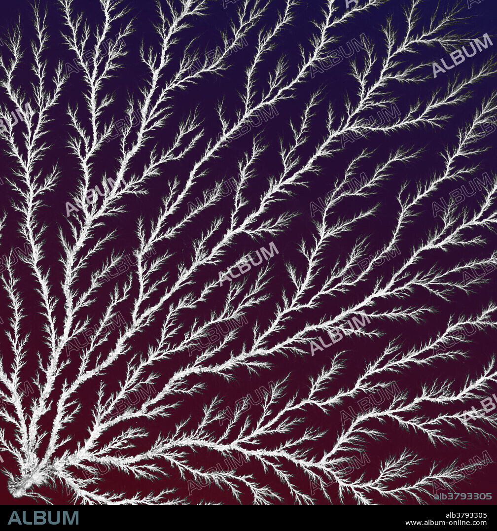 Lichtenberg figure, also known as an electron tree, beam tree, or lightning tree. Lichtenberg figures are branching electric discharges appearing on the surface or interior of an insulating material. This figure was created using an Electron Linear Accelerator (Linac), which delivered an electron beam aimed toward a thick block of acrylic. The electrons penetrate the surface of the acrylic, and rapidly decelerate as they collide with molecules inside the plastic, finally coming to rest. The pattern the electrons make in the acrylic as they rush out of the block looks like a tree, or fern-like structure. These figures can be found in the grass surrounding a lightning strike, and can also appear on the skin of lightning strike victims.