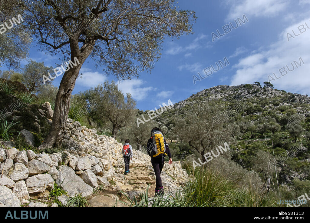 Climb to the Tossals Verds refuge, Serra de Tramuntana Natural Park, Mallorca, Balearic Islands, Spain.