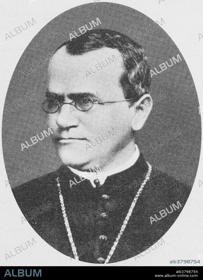 Gregor Johann Mendel (July 20, 1822 - January 6, 1884) was an Austrian scientist and Augustinian friar who gained posthumous fame as the founder of the new science of genetics. Mendel conducted experiments in a monastery in the 1860's with garden peas, working out the law of heredity based on "factors" (genes) that decide which characteristics are passed from parent to offspring. His documented work was entitled: "Experiments with Plant Hybrids". Mendel had demonstrated that the inheritance of certain traits in pea plants follows particular patterns, now referred to as the laws of Mendelian inheritance. Although the significance of Mendel's work was not recognized until the turn of the 20th century, the independent rediscovery of these laws formed the foundation of the modern science of genetics. After he was elevated as abbot in 1868, his scientific work largely ended. Mendel died in 1884, at age 61, from chronic nephritis.