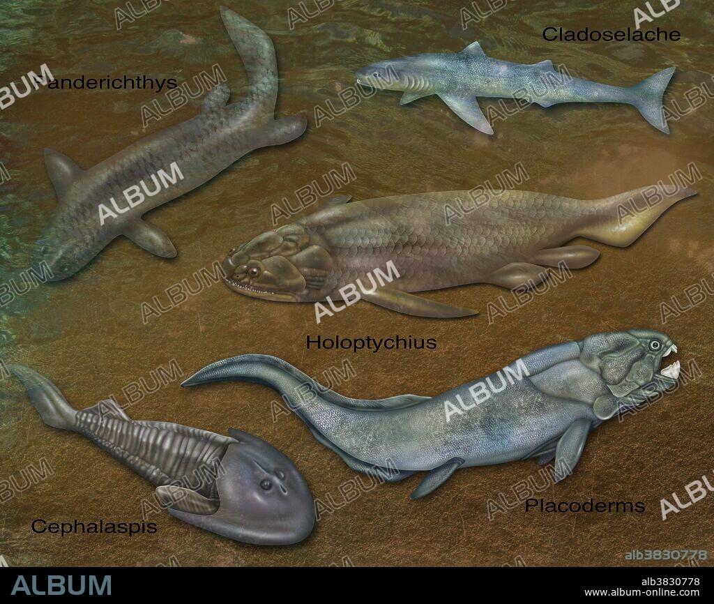 Prehistoric Fishes, Illustration