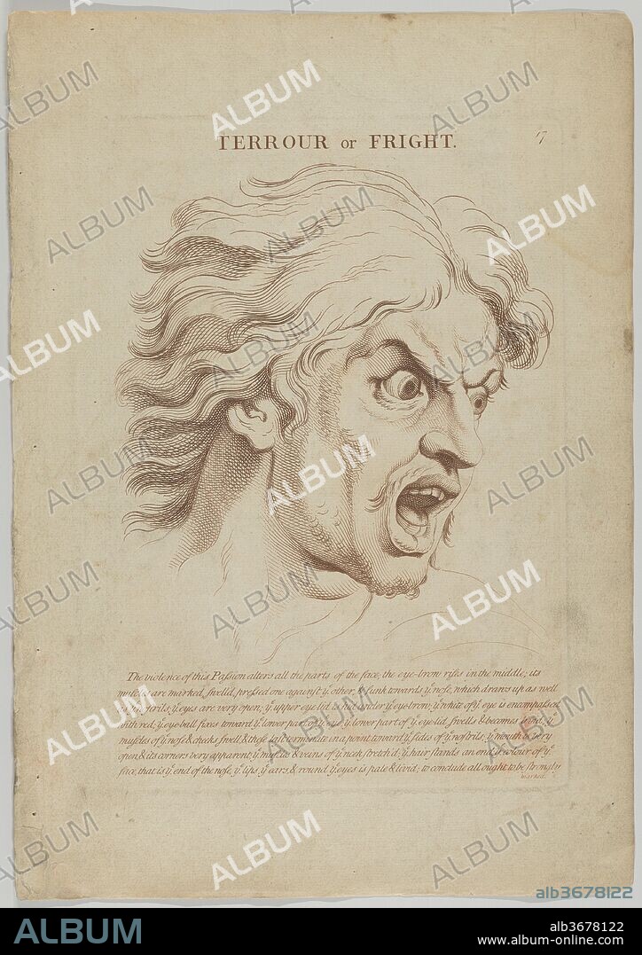 Terrour or Fright (from Heads Representing the Various Passions of the Soul; as they are Expressed in the Human Countenance: Drawn by that Great Master Monsieur Le Brun). Artist: After Charles Le Brun (French, Paris 1619-1690 Paris). Dimensions: Plate: 11 1/4 x 7 1/4 in. (28.6 x 18.4 cm). Engraver: Anonymous, British, 18th century. Publisher: Robert Sayer (British, Sunderland 1725-1794 Bath). Date: 1765.
