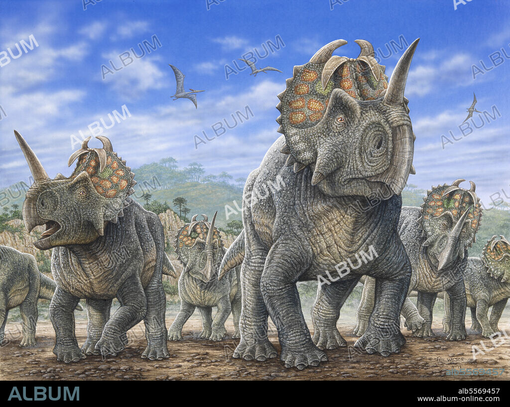 A herd of Centrosaurus dinosaurs.