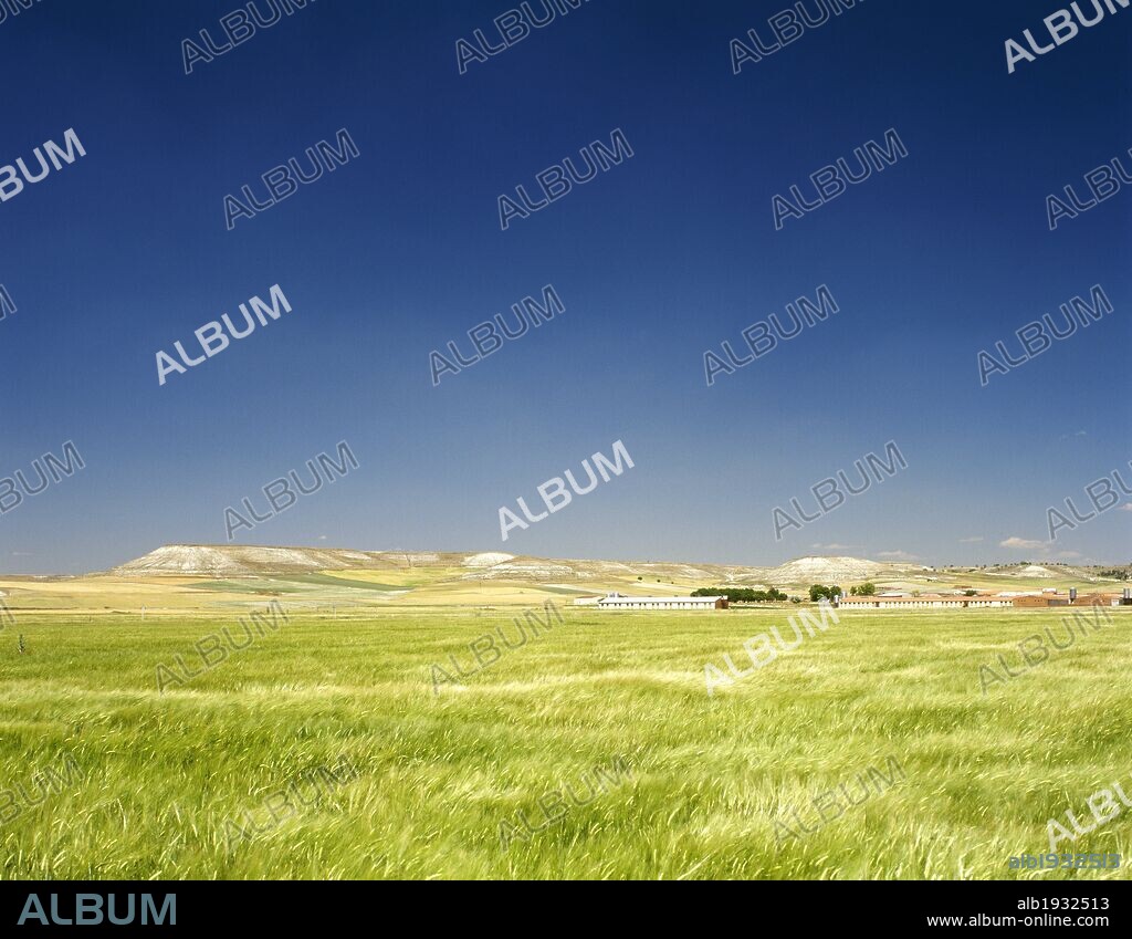 CASTILLA-LEON. Paisaje de PARAMOS y CAMPOS DE TRIGO en los alrededores de la localidad de Iscar. Provincia de Valladolid. España.