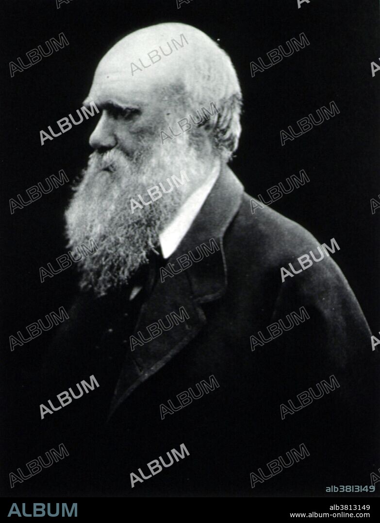 Charles Robert Darwin (February 12, 1809 - April 19, 1882) was an English naturalist, geologist and biologist. Studies at the University of Cambridge encouraged his passion for natural science. Puzzled by the geographical distribution of wildlife and fossils he collected on the five-year voyage on HMS Beagle, Darwin began detailed investigations and in 1838 conceived his theory of natural selection. Although he discussed his ideas with several naturalists, he needed time for extensive research and his geological work had priority. He was writing up his theory in 1858 when Alfred Russel Wallace sent him an essay that described the same idea, prompting immediate joint publication of both of their theories. Darwin's work established evolutionary descent with modification as the dominant scientific explanation of diversification in nature. In 1871 he examined human evolution and sexual selection in The Descent of Man, and Selection in Relation to Sex, followed by The Expression of the Emotions in Man and Animals (1872). Darwin has been described as one of the most influential figures in human history. He died in 1882, at the age of 73, and he was honored by burial in Westminster Abbey.