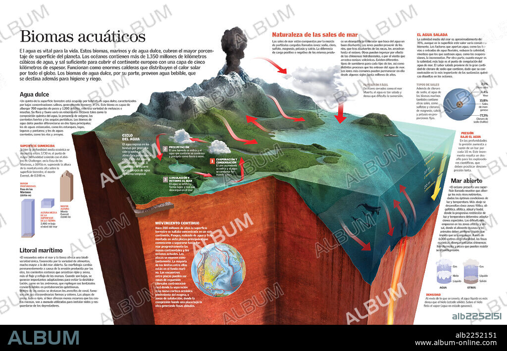 Aquatic ecosystems. Infographic of the the earth's different aquatic biomes, ranging from their various compostions according to their salinity, to their ecosystems and biodiversity.