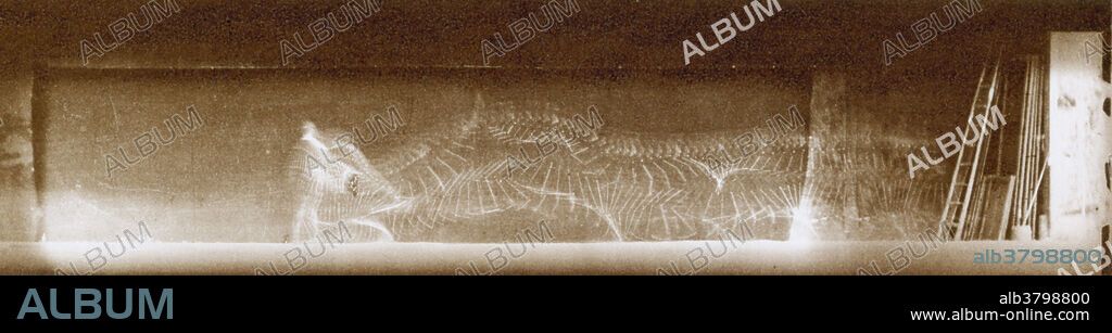 Etienne-Jules Marey's, How A Man Runs, geometric chronophotograph, 1883 from the original negative on glass. Etienne-Jules Marey (1830-1904) was a French scientist, physiologist and chronophotographer. He started by studying blood circulation in the human body. Then shifted to analyzing heart beats, respiration, muscles, and movement of the body. He became fascinated by movements of air and started to study birds. He adopted and further developed animated photography into a separate field of chronophotography in the 1880s. His revolutionary idea was to record several phases of movement on one photographic surface. In 1882 he made his chronophotographic gun. This instrument was capable of taking 12 consecutive frames a second, with all the frames recorded on the same picture, using these pictures he studied mammals, birds, fish, microscopic creatures, mollusks, insects and reptiles. His research on how to capture and display moving images helped the.