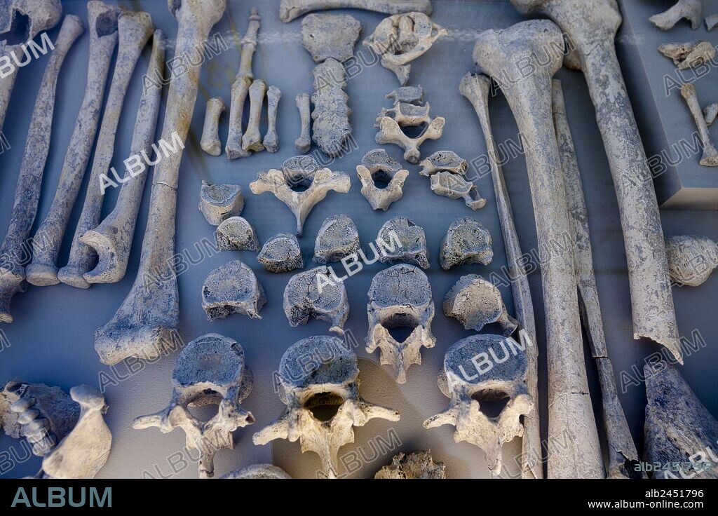 Museo arqueologico Son Fornes, sala de época clasica, Montuiri,  Comarca de Es Pla, Mallorca, Spain.