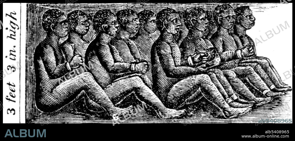 Atlantic Slave Trade, Cargo Hold of Slave Ship