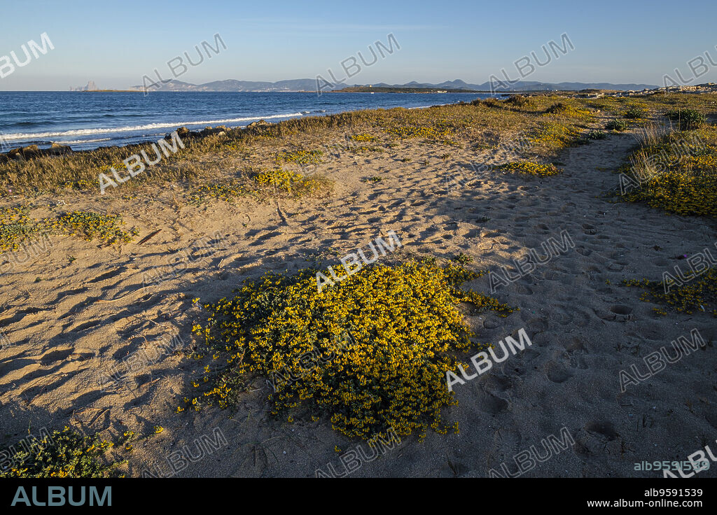 Es Trucadors , Formentera, Pitiusas Islands, Balearic Community, Spain.