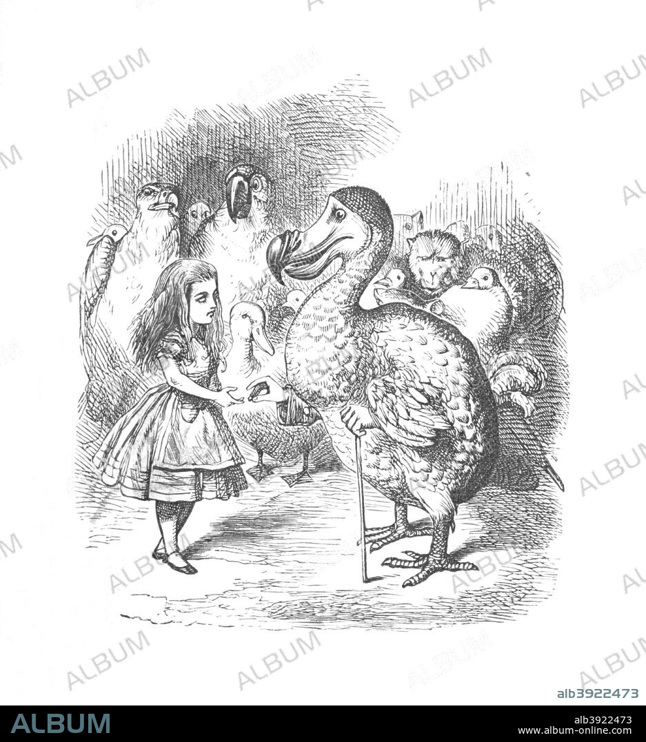 'Alice and the Dodo', 1889. Lewis Carroll's (1832-1898) 'Alice in Wonderland' as illustrated by John Tenniel (1820-1914). From Alice's Adventures in Wonderland by Lewis Carroll. [Macmillan & Co., New York, 1889].