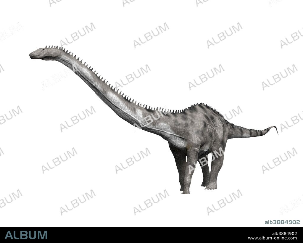 Diplodocus hallorum is a sauropod from the Late Jurassic period of New Mexico. Previously known as Seismosaurus halli.