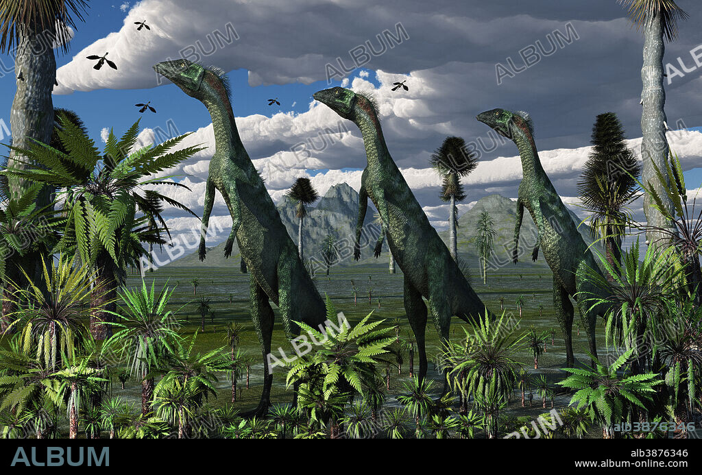 Lesothosaurus are very small compared to other dinosaurs. They grew to approximately three feet in length, so keeping a watchout for the larger carnivores was critical if they wanted to stay alive.