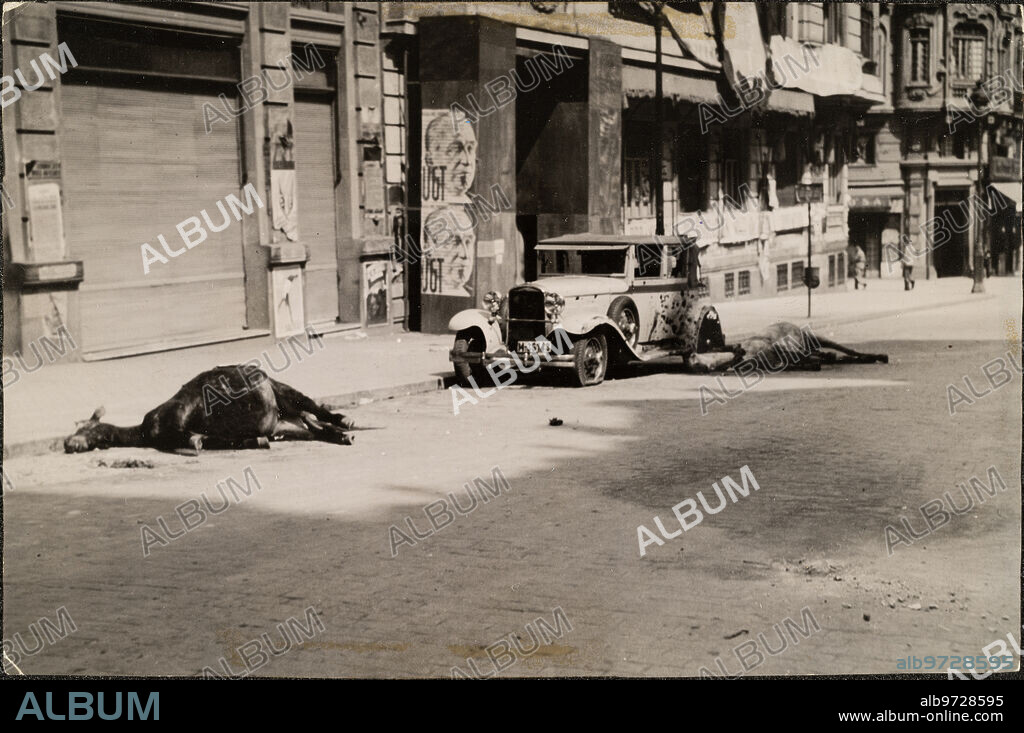 1937. Destrozos y Muertes de Animales, Producidas por un obús que Cayó sobre la calle Conde de Peñalver.