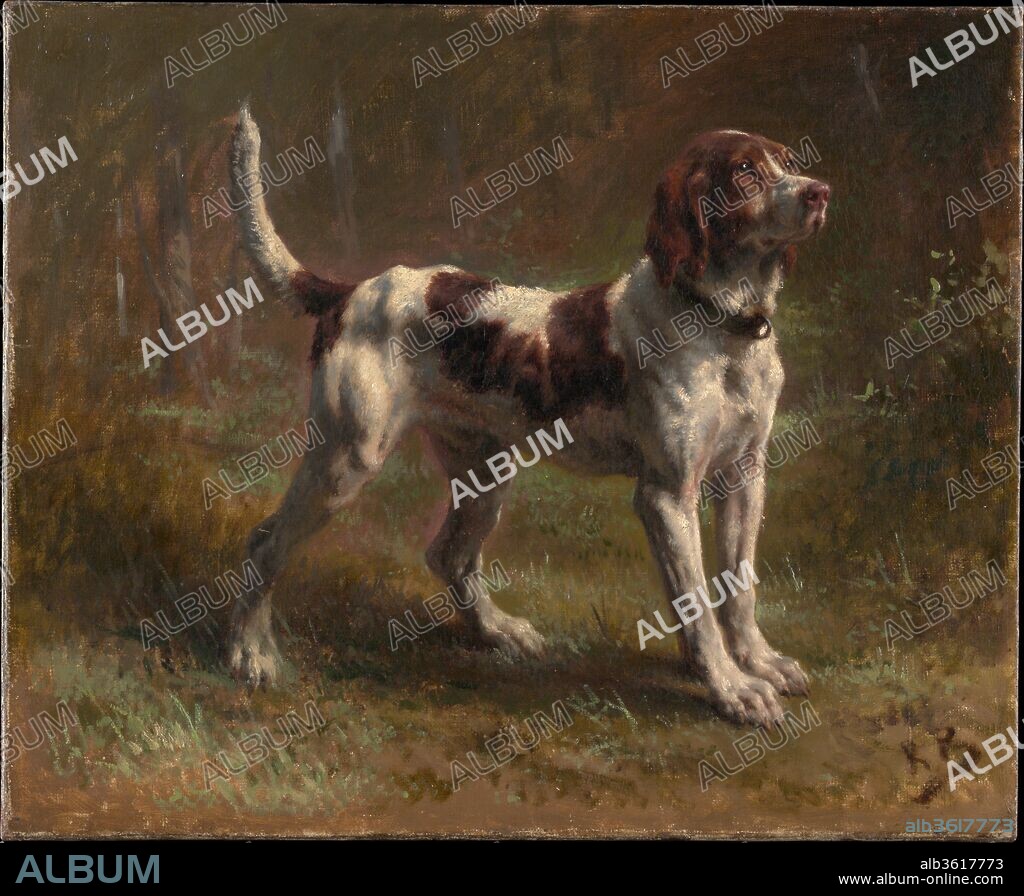 A Limier Briquet Hound. Artist: Rosa Bonheur (French, Bordeaux 1822-1899 Thomery). Dimensions: 14 1/2 x 18 in. (36.8 x 45.7 cm). Date: ca. 1856.
This painting, made from life about 1856, depicts a dog that belonged to a gentleman known as the Vicomte d'Armaille. It is one of Bonheur's numerous portraits of hunting dogs and pets.