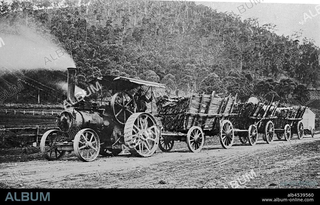 Negative - Mount Warrenheip, Victoria, circa 1900, Fowler steam traction engine on road past Mount Warrenheip, hauling a wagon train with three loads of timber mining laths and a living van at rear.
