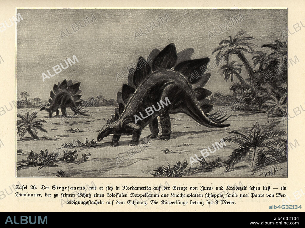 Reconstruction of an extinct Stegosaurus, North America, Jurassic and Cretaceous period. Illustration by Hugo Wolff-Maage from Wilhelm Bolsches Das Leben der Urwelt, Prehistoric Life, Georg Dollheimer, Leipzig, 1932.