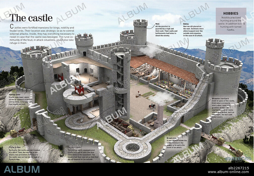 The castle. Infographic about a medieval castle where kings, nobles and lords cohabited.
