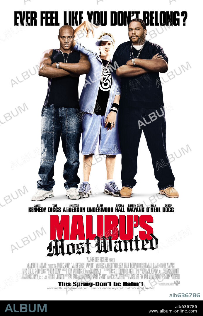 Poster of MALIBU'S MOST WANTED, 2003, directed by JOHN WHITESELL. Copyright WARNER BROS.