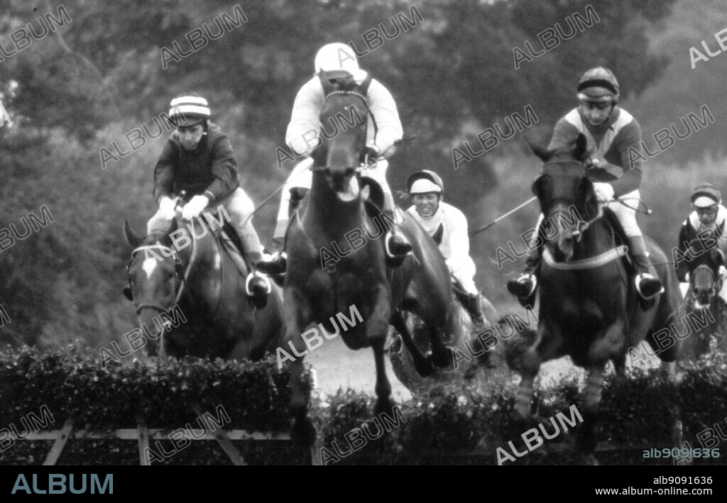 Hurdle Racing: The Singleton Novices Hurdle Race, Fontwell Park. Encyclopedia of the Horse page 194.