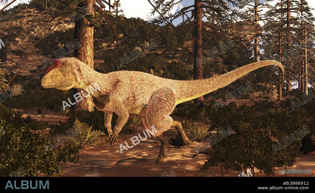 Cryolophosaurus hunting in Antarctica. A meat eater about 22 feet long from the early Jurassic that lived in Antarctica. Antarctica was ice free through the Mesozoic era, the age of dinosaurs.