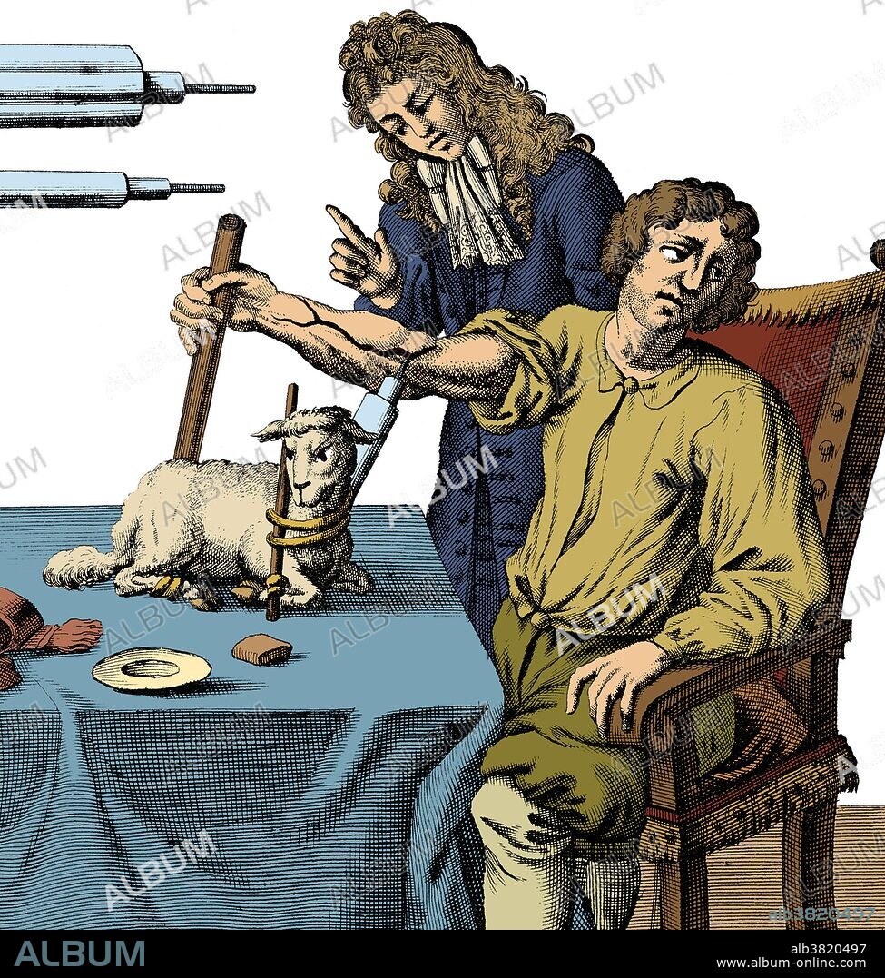 Early blood transfusion. Historical artwork of the English physiologist Richard Lower (1631-1691) transfusing blood into a man's arm from a lamb in 1667. The end of the tube used to puncture the blood vessels and transfer the blood is at top left. Lower first demonstrated the transfusion of blood from the artery of one dog to the vein of another in 1665. Later attempts by others to transfuse from animals to humans led to some deaths. Lower's Treatise on the Heart describes the heart as a muscular pump rather than an organ 'inflated by spirits'. He deduced that the bright red of arterial blood results from the mixing of dark venous blood with inspired air in the lungs.