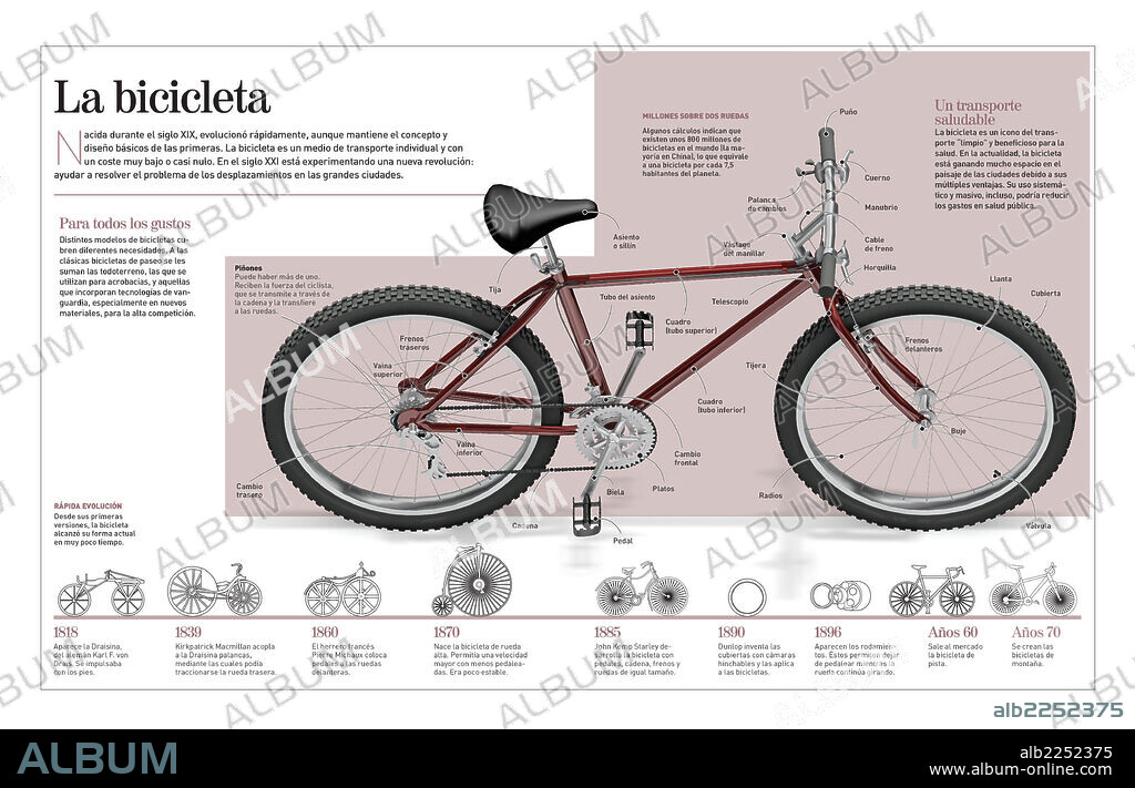 La bicicleta. Infografía de la bicicleta, de sus orígenes (1818) y su evolución a lo largo de los años.