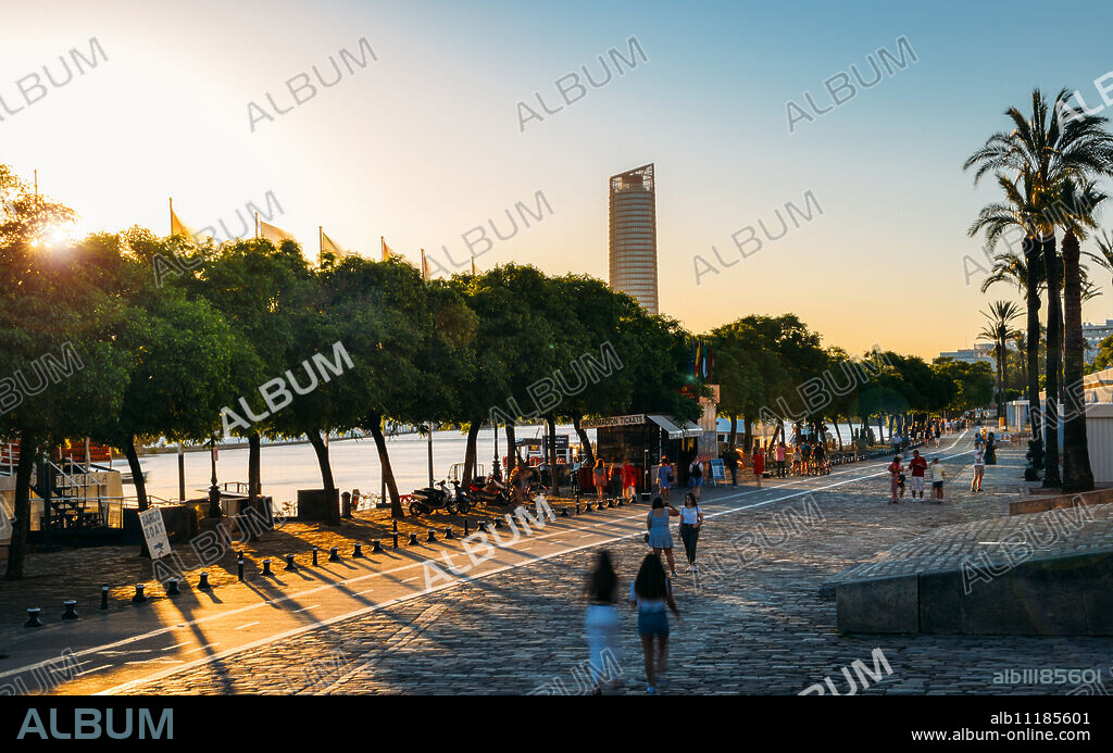 Paseo Alcalde Marques del Contadero along the Canal de Alfonso XIII at sunset, Seville, Andalusia, Spain, Europe.