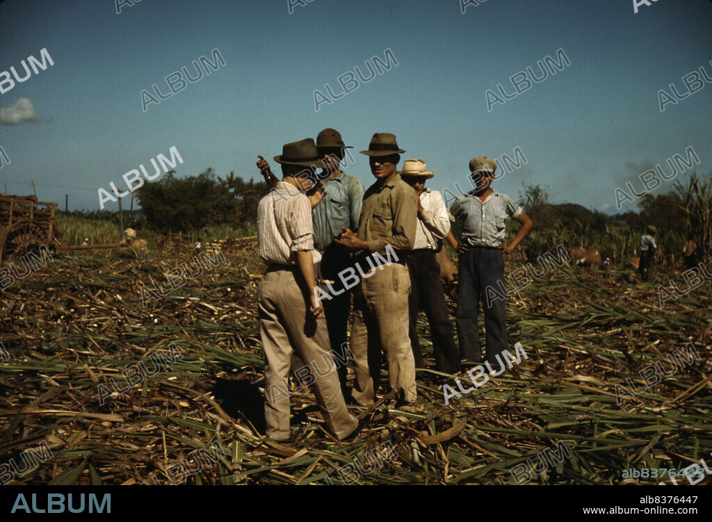 JACK DELANO. Sugar cane workers resting, Rio Piedras, Puerto Rico.
