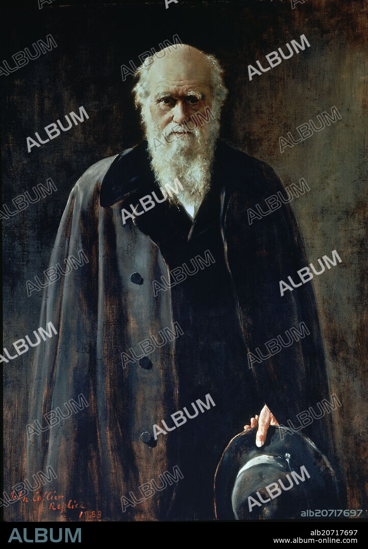JOHN COLLIER. English school. Portrait de Charles Robert Darwin (1809-1882), English scientifc. London, Portrait Gallery.