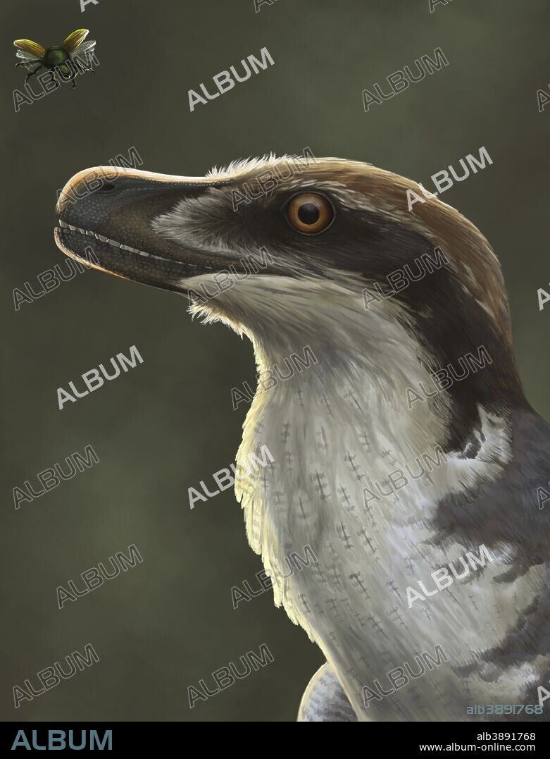 Acheroraptor, the Hell Creek Formation dromaeosaurid dinosaur, with hispine beetle.