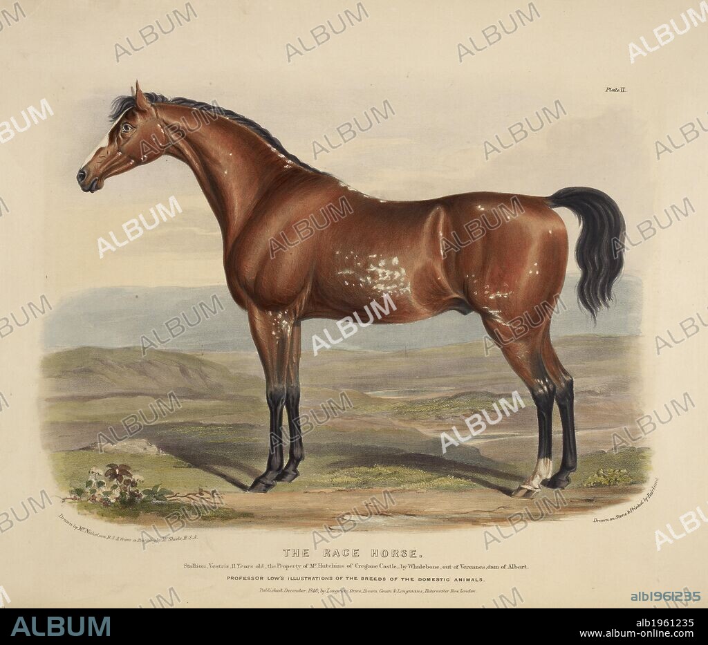 WILLIAM NICHOLSON and DAVID LOW. The Race Horse. The Breeds of the Domestic Animals ... London, 1842. Source: 578.m.32, plate II.