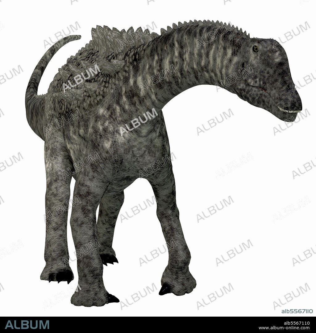 Ampelosaurus dinosaur, front view. Ampelosaurus was a herbivorous sauropod dinosaur that lived in Europe during the Cretaceous Period.